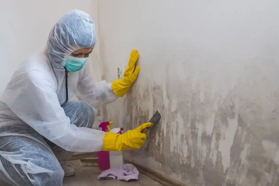 water damage restoration service Vista Nueva
